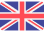 Flag Selected